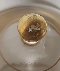 Vintage Glastonbury Lotus Gold Band Georgian Pedestal Dish Compote W/Lid 7″