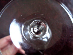 Luminarc France Silver Rim Laurel Leaf Etched Sherbet Champagne Stemware Glass