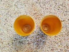 8 VTG HAZEL ATLAS MODERNTONE PLATONITE MILK GLASS TUMBERS SMALL GLASSES RETRO