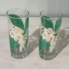 Vintage MCM Drinking Glasses White Pink Honeysuckle Floral Green Palms Set of 2