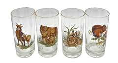 Vintage West Virginia Glass Co American Wildlife Highball Glasses Set of Eight