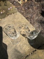Vintage Cambridge Glass Crystal Oyster Cocktail Line Juice Paneled Optic Glass