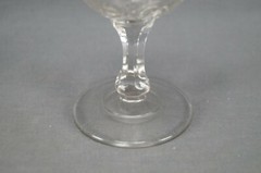 EAPG Specialty Glass Co Stippled Maiden Fern Pattern Water Goblet Circa 1892