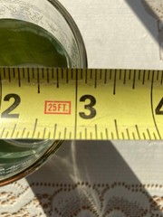 Jeanette Wedgewood Grecian Green Jasperware Glasses 3.15″ Diameter ~3.25″ Tall