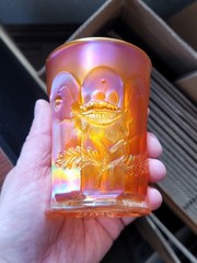 Dark Marigold Northwood Carnival Glass Oriental Poppy Tumbler