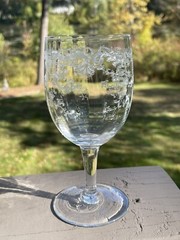 5 Saint Louis Crystal «Cleo» Pattern Glass Water Goblets Circa 1910