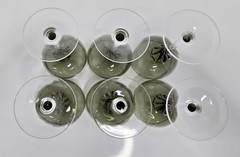 Set of 6 VTG Sasaki Coronation Smoke Gray Champagne Coupes Twisted Stem Glasses
