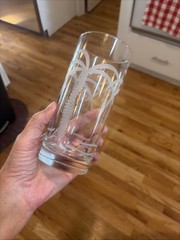 4 Deep Etched Rolf Glass Palm Trees Tall Tumblers Highball 6.25”