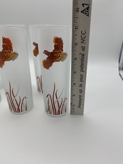 VINTAGE FROSTED TOM COLLINS COCKTAIL GLASSES with FLYING PHEASANT, Set Of 6