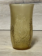Mid-Century Anchor Hocking Spring Song Honey Gold Glass Tumblers – 1 Pair