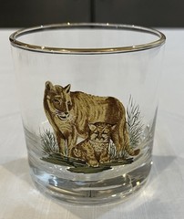 Vintage West Virginia Specialty Glass American Wildlife rocks glasses lot of 7