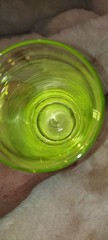 LENOX Crystal Tuscany Seasons Etched Highball Tumbler Drinking Glass ONE ONLY