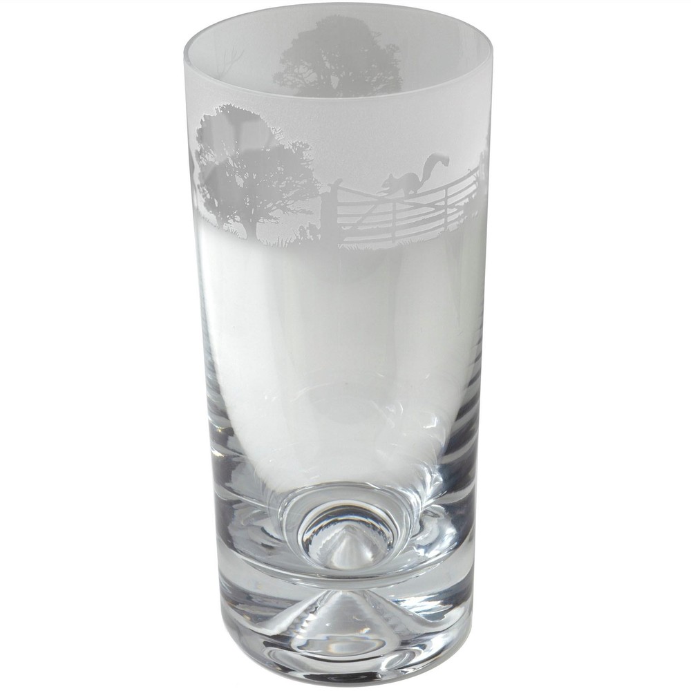 Decorated Highball Glass Woodland Scene Sandblast Drinking Tumbler Gift Animo
