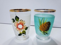 Lot of 2 Vintage Small Souvenir Glasses BLOWING ROCK North Carolina NC Painted