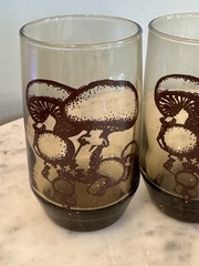 MCM Mushroom Juice Glass Tumbler Toadstool Smoky Brown Boho Hippie VTG Set Of 4