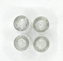 Set of 4 Tulips Floral Etched Cordial Shot Glasses Aperetif 50’s Mid Century MCM