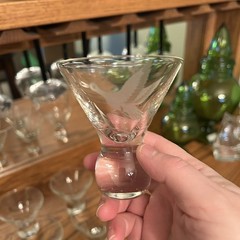 Vintage Cordial Stemless Glasses Etched Flying Duck Pattern (set Of 6)