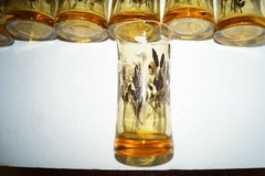 VINTAGE WHEAT DRINKING GLASSES GOLD LONG STEMMED DESIGN BROWN TAN LOT 8 EUC