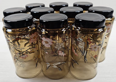 10) Yvette Perrin Dogwood Tumblers Set Vintage Smoke Brown Bird Floral Retro Lot