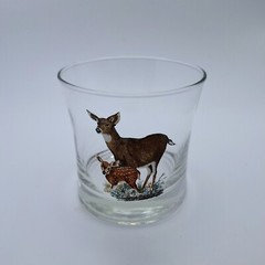 «American Wildlife» Rocks Glasses Set Of 6 West Virginia Specialty Glass Vtg Bar