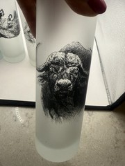 5 FIRNA Indonesia Tall Frosted Glass Tumblers African Safari Animals Vtg