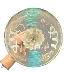 Decorative Hand-Painted Virgo Wine Glass Gold Turquoise Blue Polka Dots