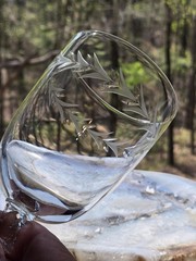 Fostoria Holly Clear (6030) MCM Crystal Water Wine Goblets 7-7/8″ – Set of 4