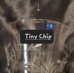 🥂VTG. XL Wine Water Cocktail Glass w/Etched Base Bulbous Stem 🍷