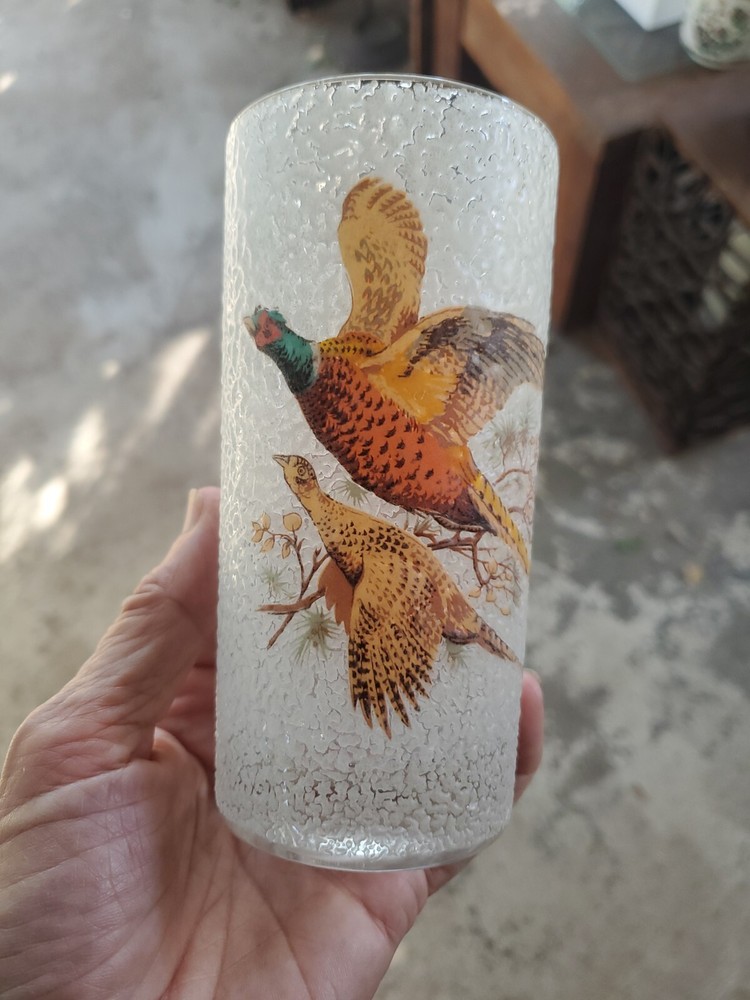 1 x Vintage Frosted texture Pebble Drinking Glass Tumbler with Pheasants Flying