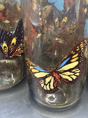 6 Libbey Tawny Garden Party Tumbler Butterfly Vntg Monarch glasses 1970’s Read