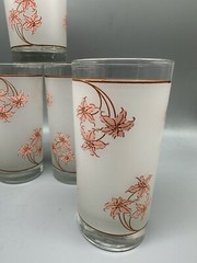 VTG Frosted Floral Tumblers Set 4 Peach Tiger Lily Glasses 12 oz Retro Barware