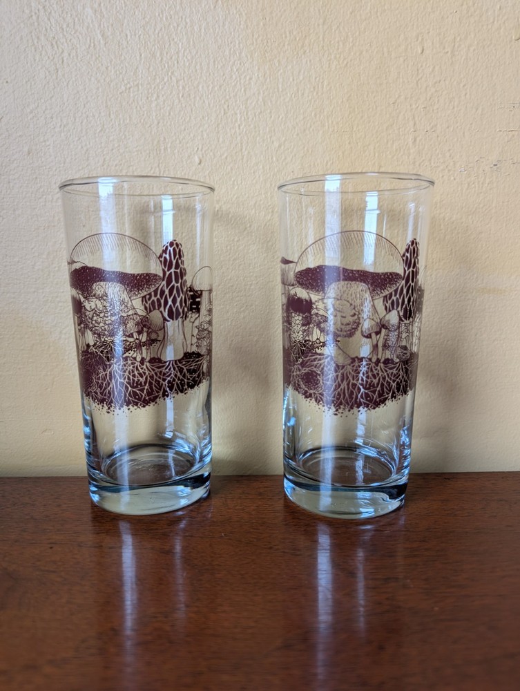 Set Of 2 Down to Earth Basics Glasses Vintage Mushrooms by Marcy Tippmann