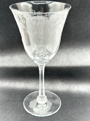 Lenox CASTLE GARDEN Crystal Water Goblet