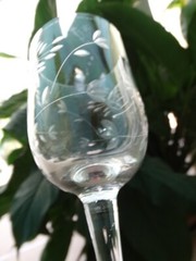 Crystal Clear Industries #2690 Stem Wheel Cut Floral Design 6oz Wine Glass EUC