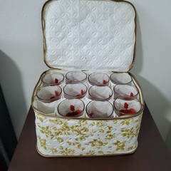 11 Vtg Mary Goertzen Block Pointsetta Glass Set Made In Portugal w Floral Case