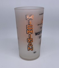 Vintage Michigan State Frosted Souvenir Tumbler 4”