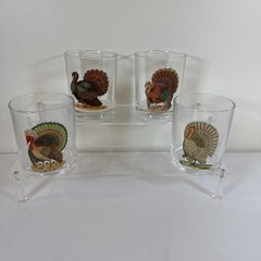 Sef 4 John Derian 2023 Target Turkey 3 5/8″ Cocktail Glasses