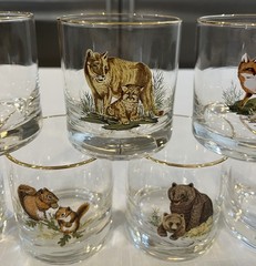 Vintage West Virginia Specialty Glass American Wildlife rocks glasses lot of 7