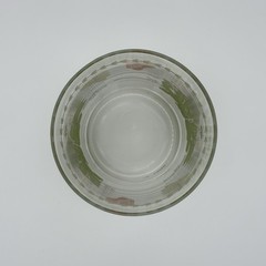 Vintage Portmeirion Botanic Garden 12 oz Double Old Fashioned Glass Daisy Motif
