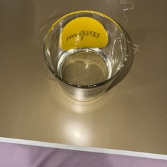 Vintage Tennis Tumbler Wilson Low Ball Glass 1970s