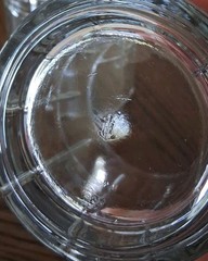 Anchor Hocking Manchester Tartan Clear Rocks Whiskey Tumblers 3.5″ Sold In Pairs