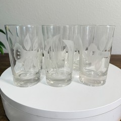 Vintage Federal Frosted Glass flower Juice Drinking Glasses MCM Set Of 6