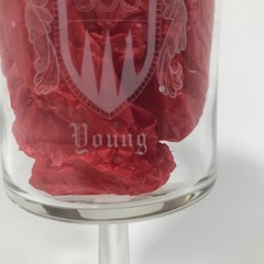 YOUNG Etched Coat Of Arms Family Crest 6.75in X 3.25in Wine Glass Water Goblet
