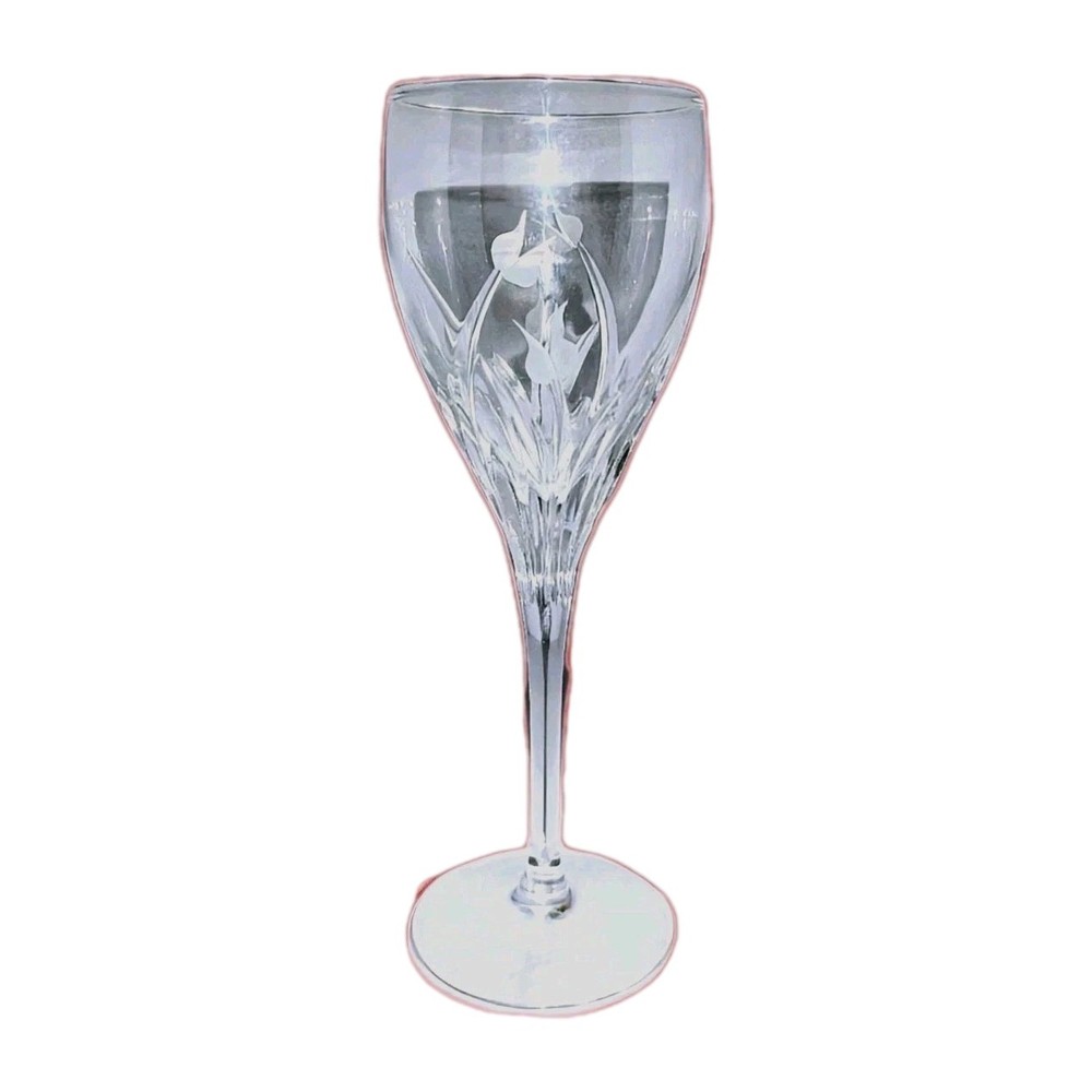 Vtg DaVinci Pisa Floral Wine Glass Water Goblet Stemware 7¾» Etched Da Vinci A+!