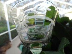 Weston Clear Crystal Green Stem Champaign Stem Grey Cut Flower Horizontal Band