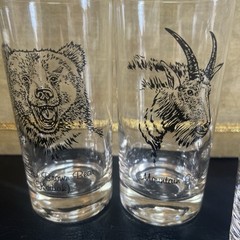 Vintage Clear High Ball Bar Lodge Glasses Alaskan Wildlife 5.5” Sold Per Glass