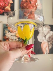Vintage Dorothy Thorpe Style Hand Painted Tulip Margarita Coupe Glasses Set of 7