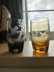 Moser Birds of the Wild Tumbler Glass 2 Color Set