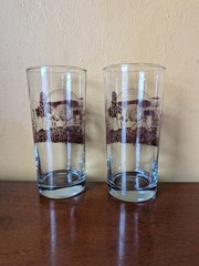 Set Of 2 Down to Earth Basics Glasses Vintage Mushrooms by Marcy Tippmann
