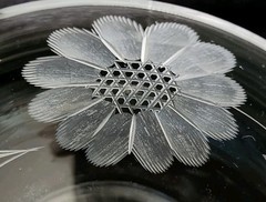 Vintage WJ Hughes Cornflower Etched Design Champagne Coupes Set Of 5 Rare EC